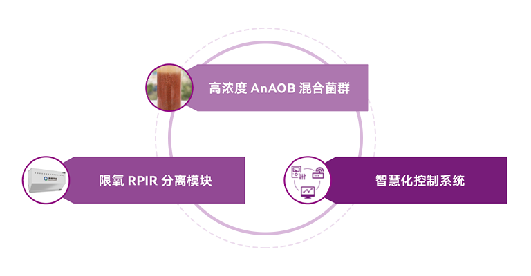 尊时凯龙·(中国区)人生就是搏!