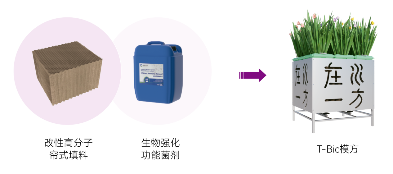 尊时凯龙·(中国区)人生就是搏!